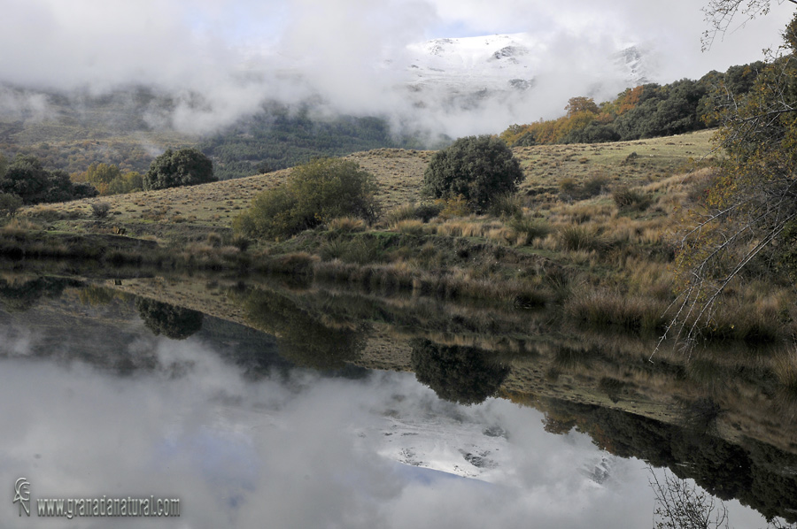 Reflejos en la Balsa de Almiar ( Sierra Nevada)