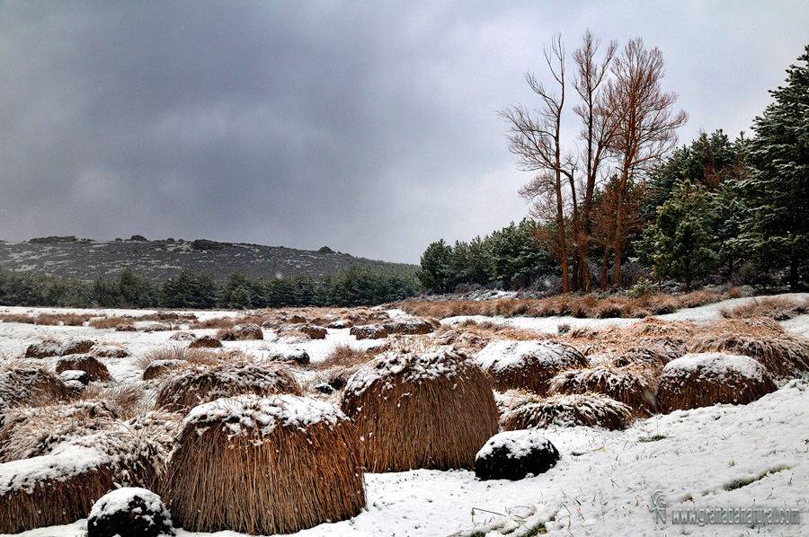 Nevada en la cabecera del río Ballax (Sierra de Baza). Paisajes de Granada