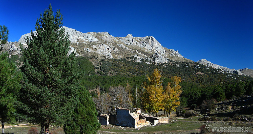 Cortijo de Florencia