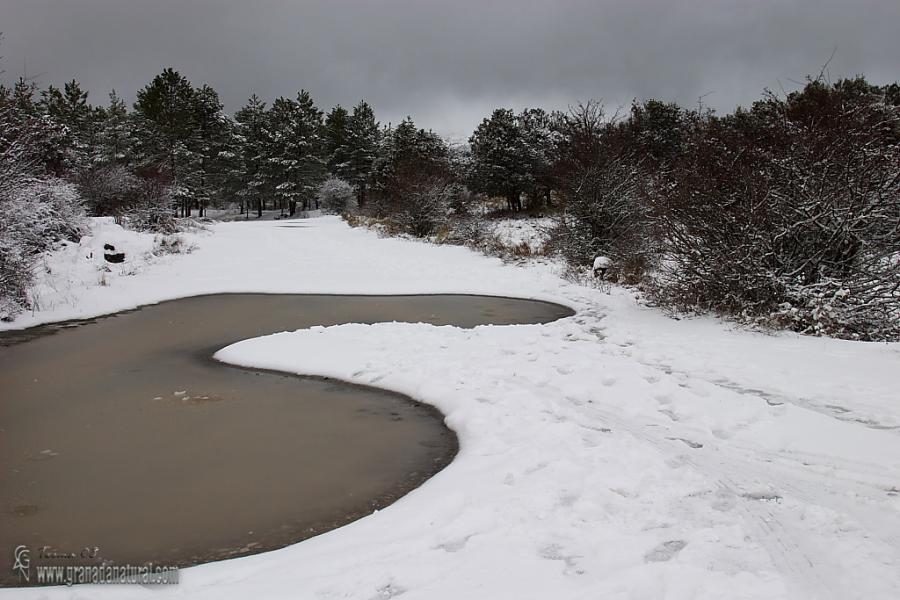 Nevada en la Sierra de Huétor.