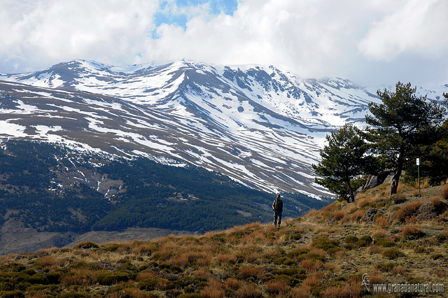 Valle del Poqueira desde la Acequia Alta.